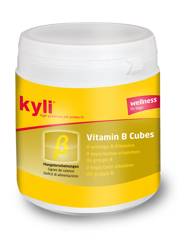 Vitamin B Cubes 120g