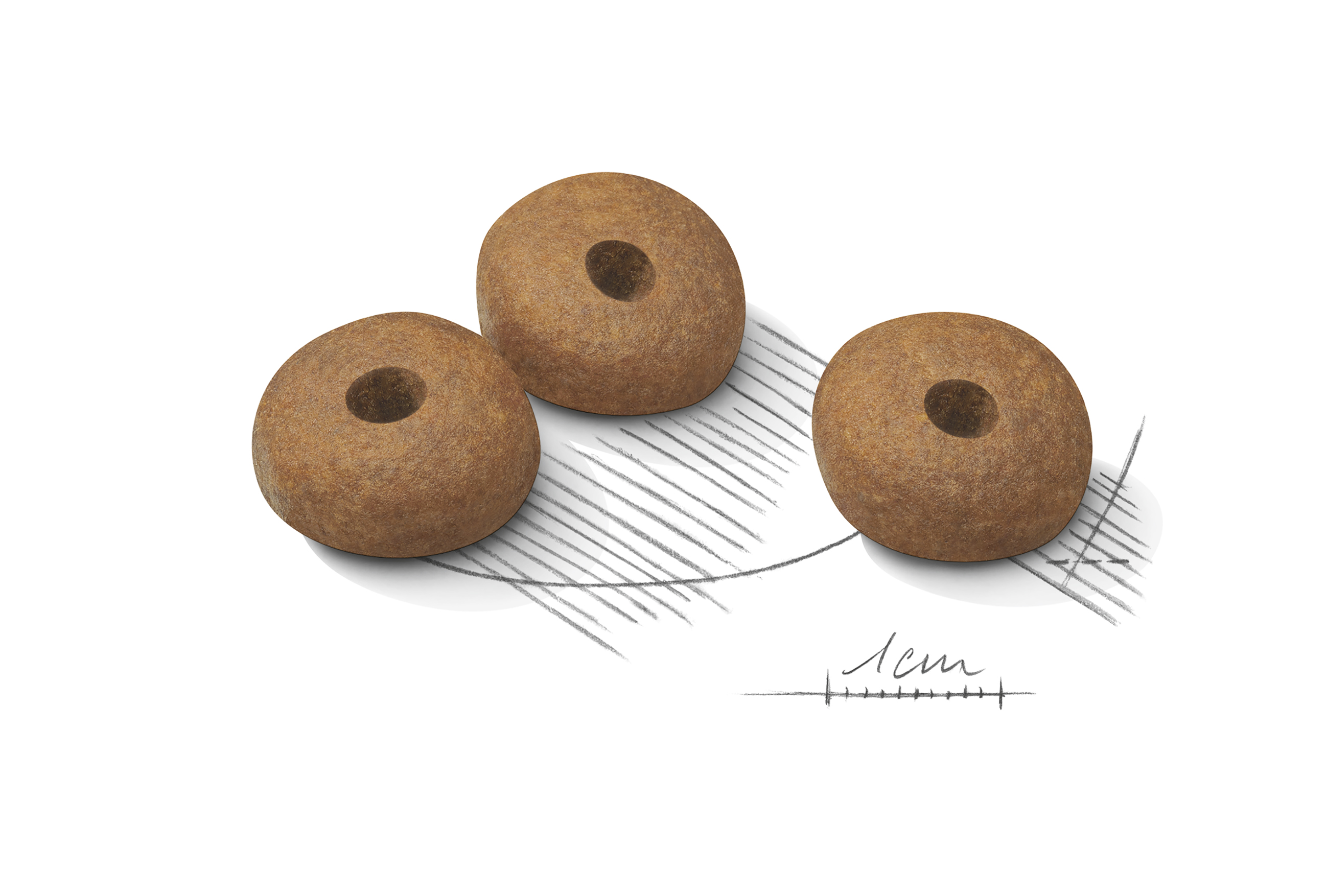 Royal Canin Light Weight Care Medium