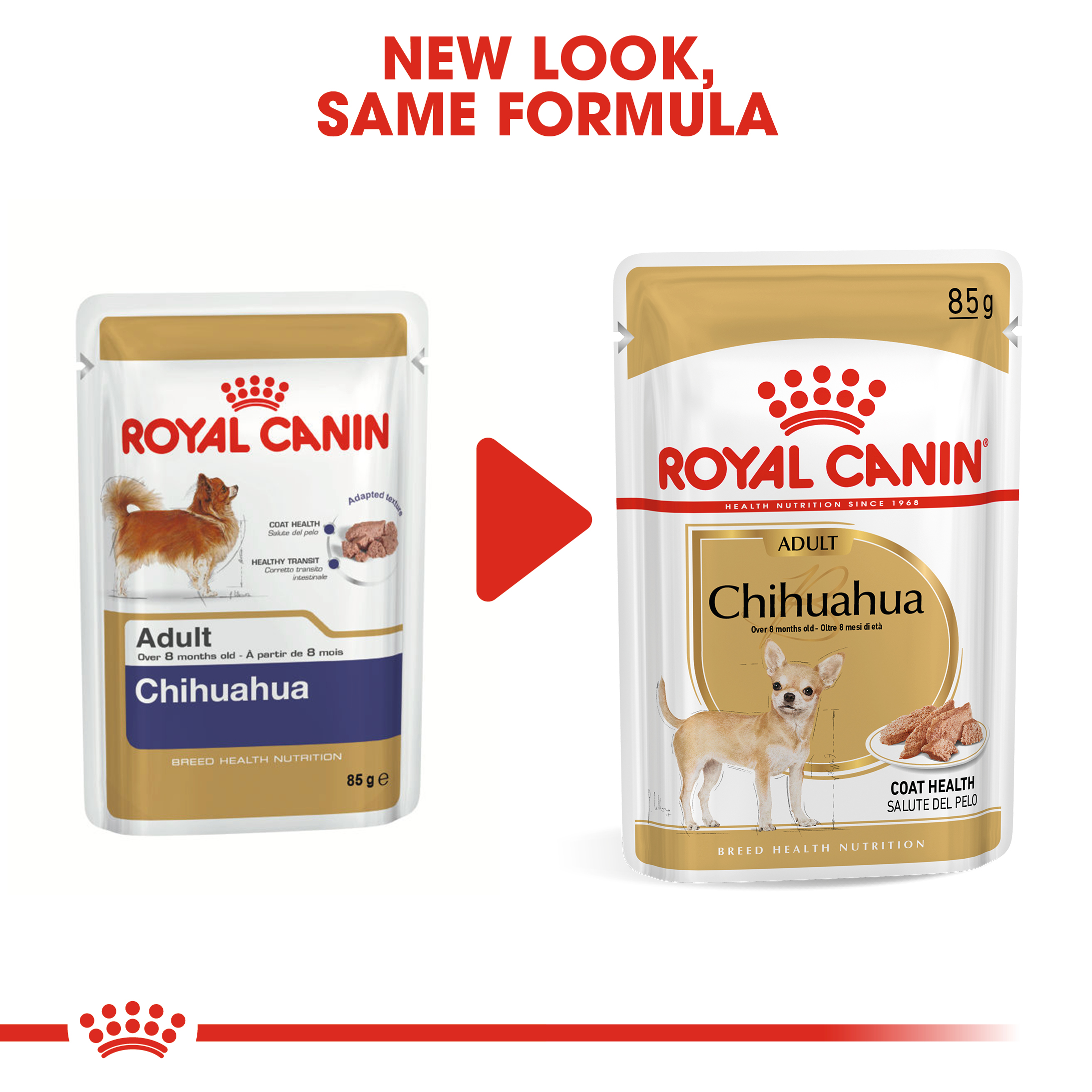 Royal Canin Chihuahua 12 x 85g