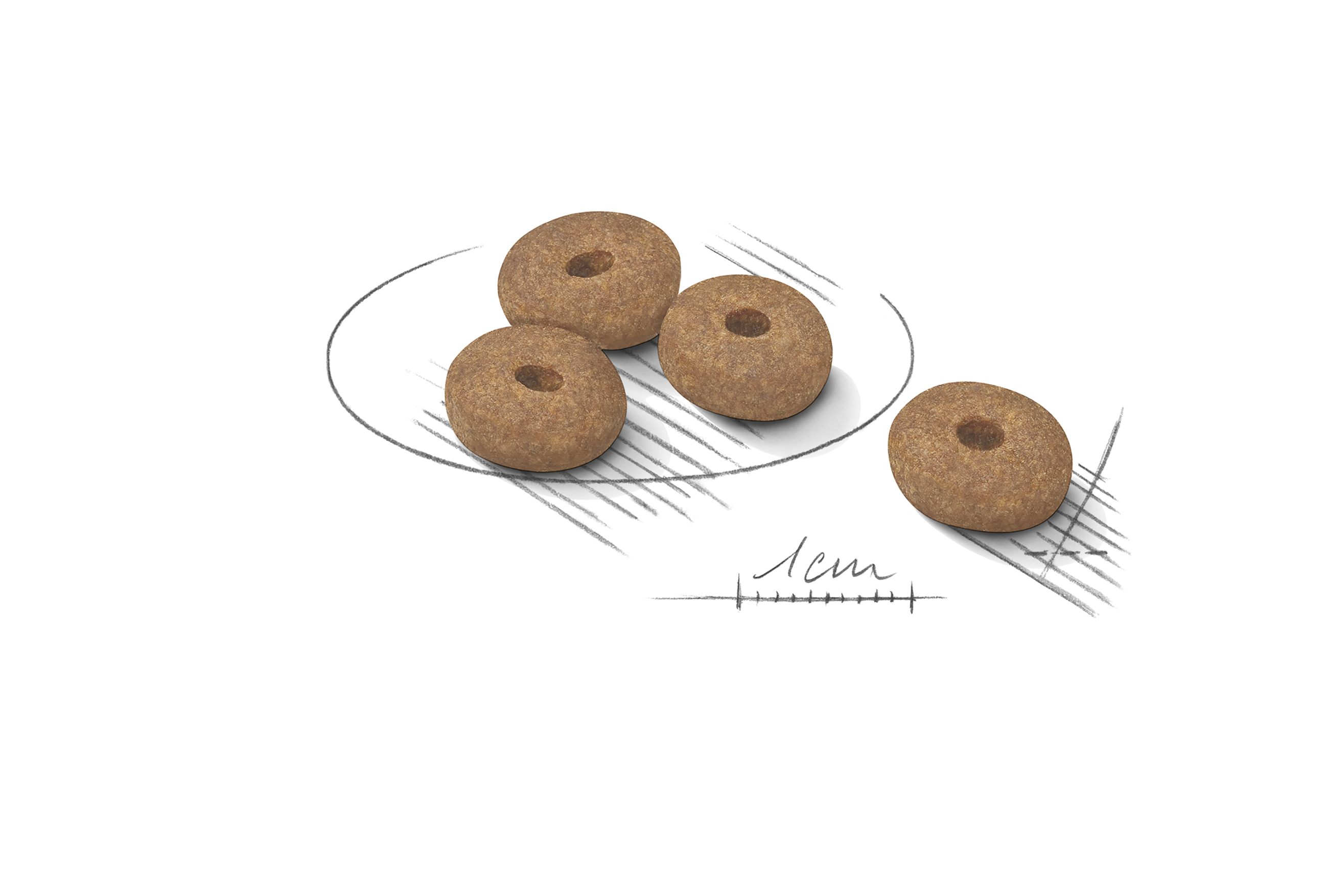 Royal Canin Light Weight Care Mini