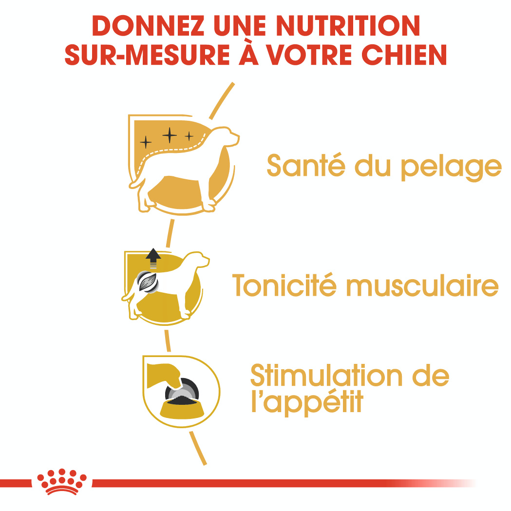 Royal Canin Poodle 12 x 85g