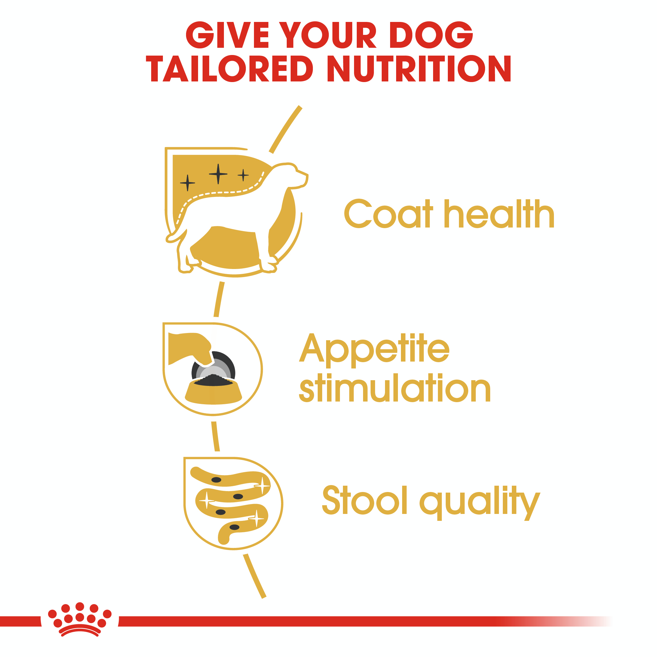 Royal Canin Yorkshire Terrier 12 x 85g