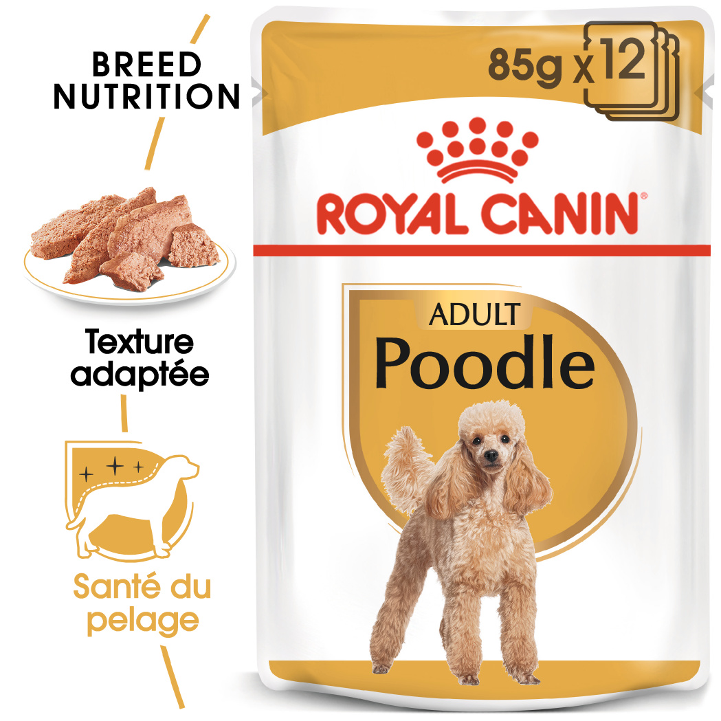 Royal Canin Poodle 12 x 85g