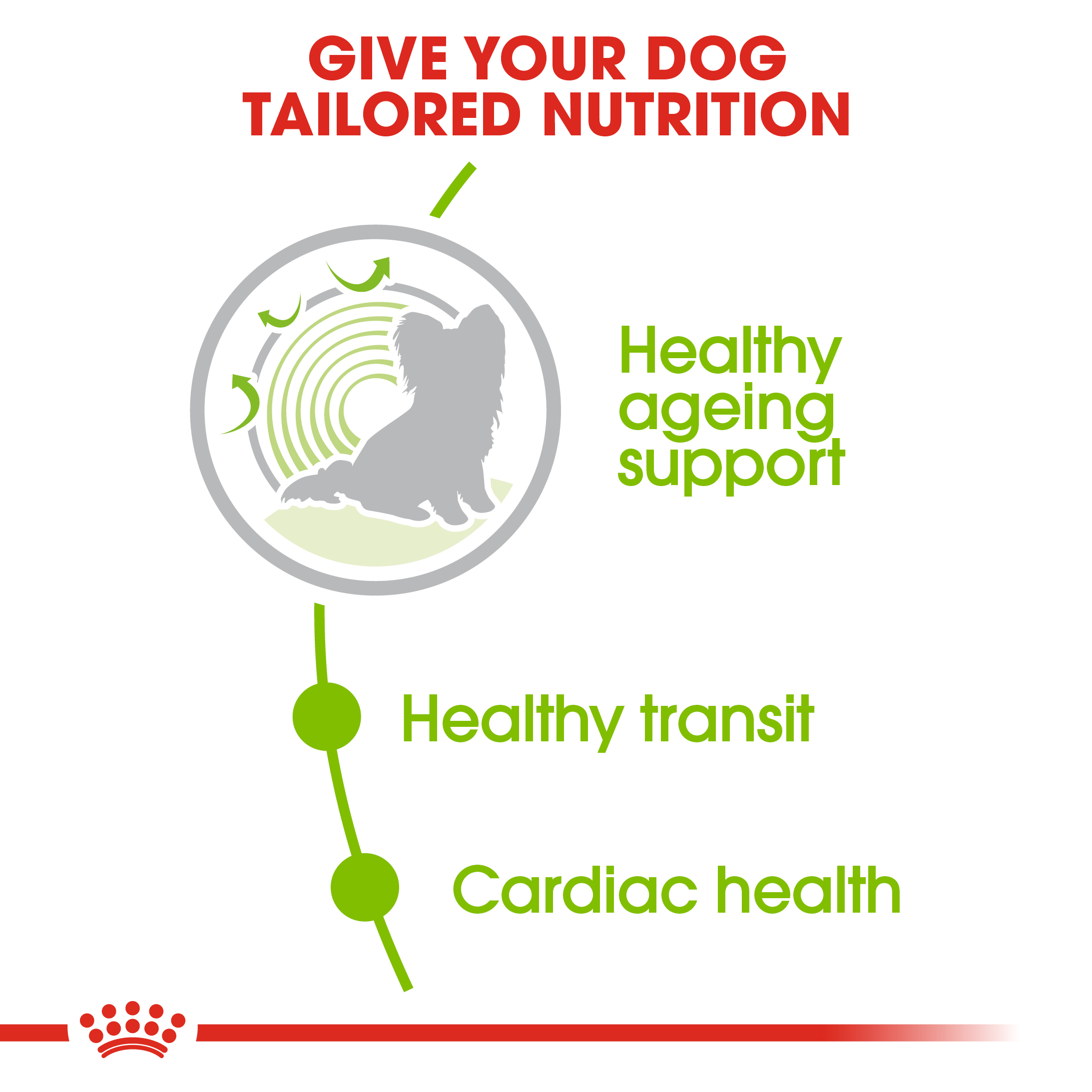 Royal Canin X-Small Ageing 12+