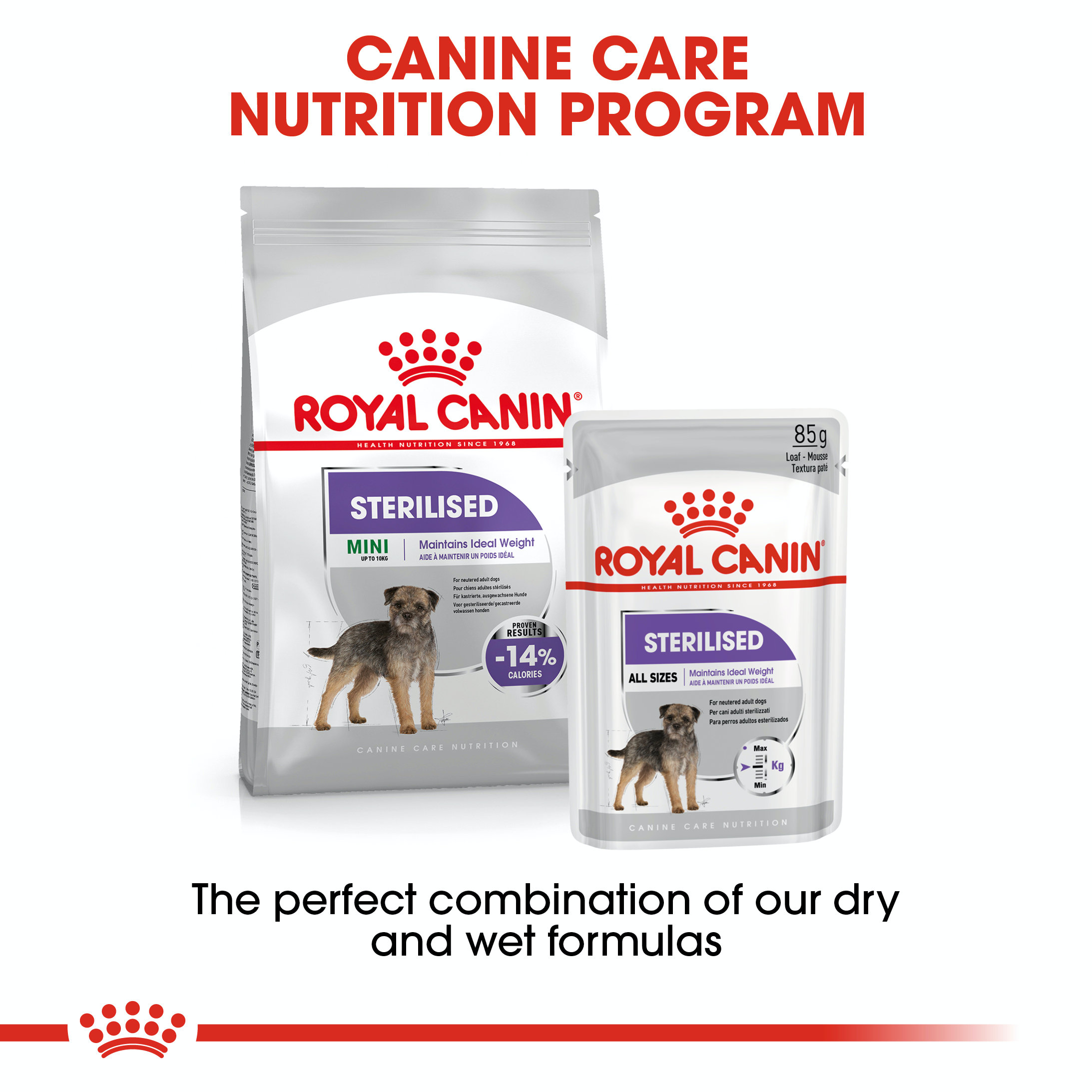 Royal Canin Sterilised 12 x 85g