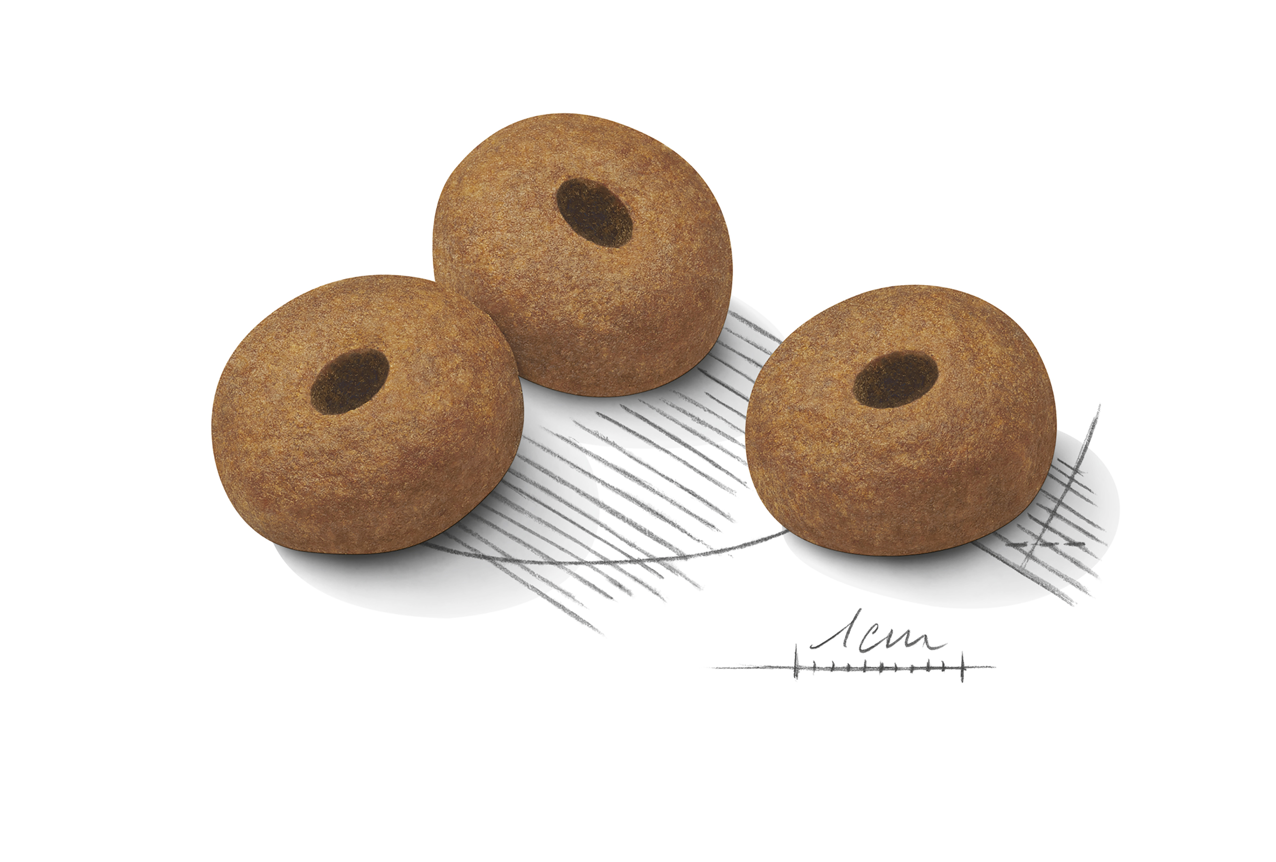 Royal Canin Light Weight Care Maxi