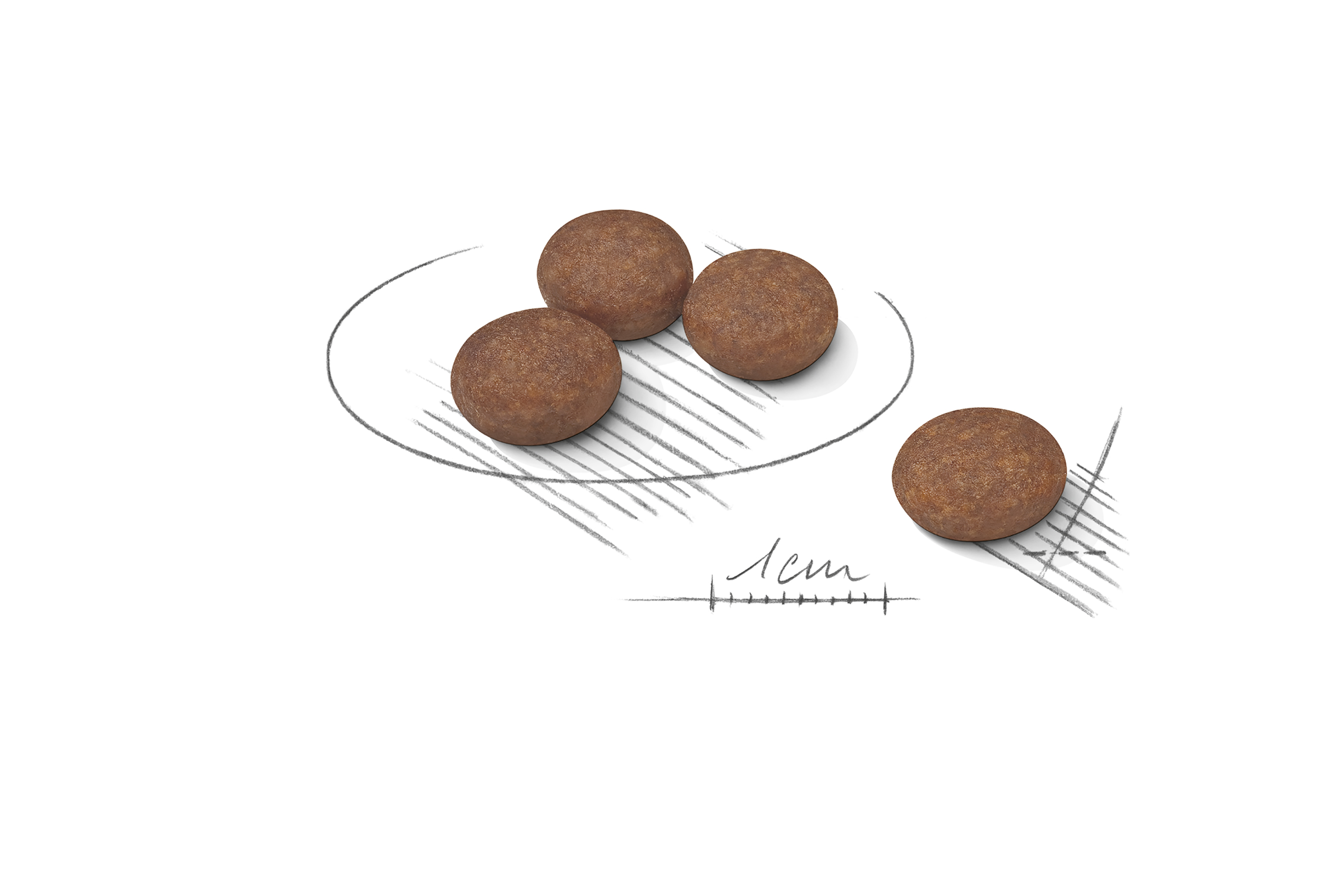 Royal Canin Digestive Care Mini