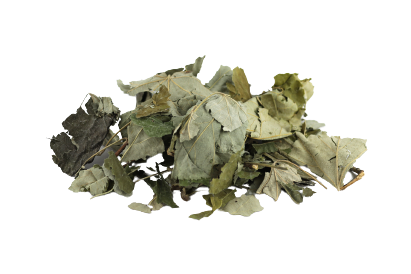 Lindenblätter getrocknet