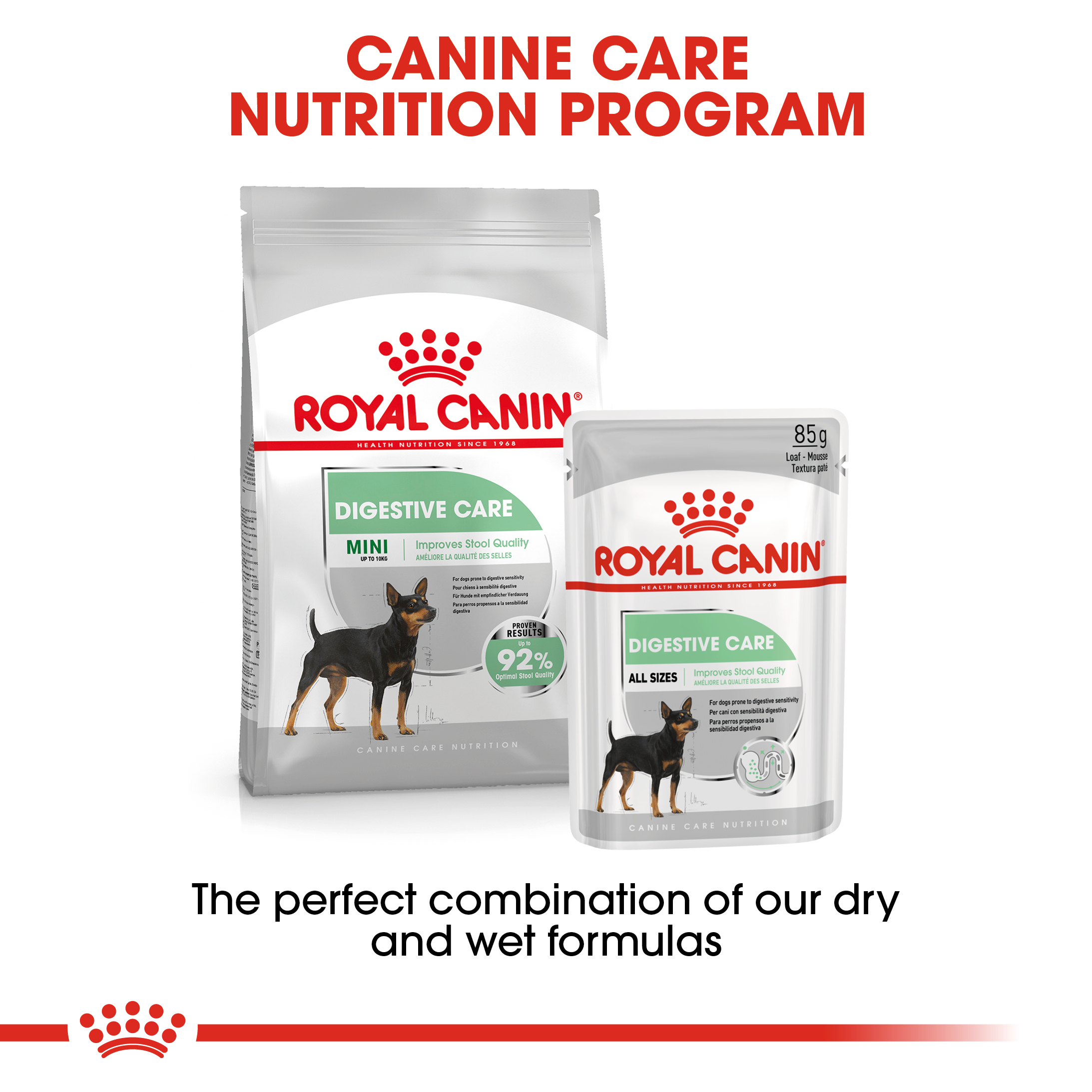 Royal Canin Digestive Care 12 x 85g