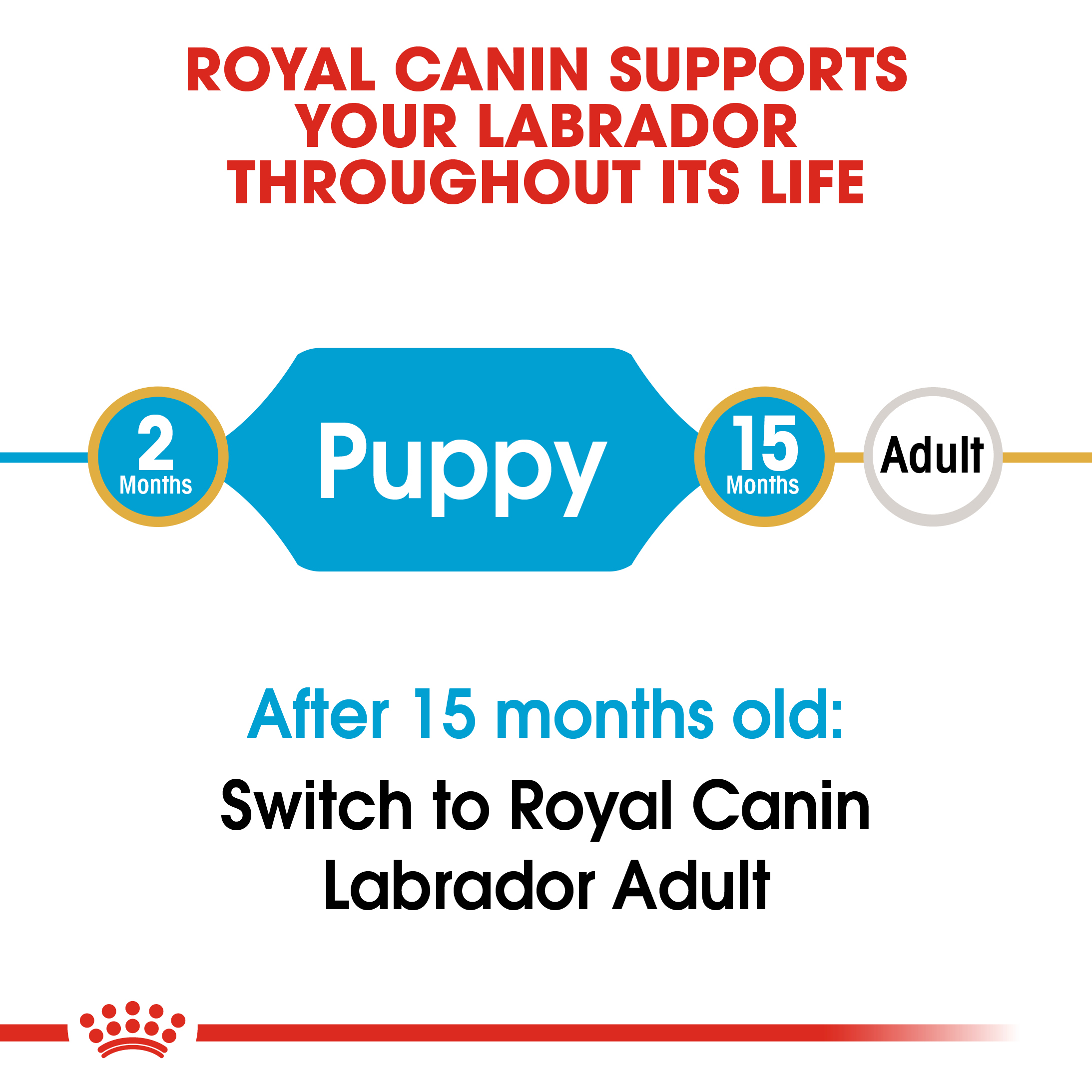 Royal Canin Labrador Junior