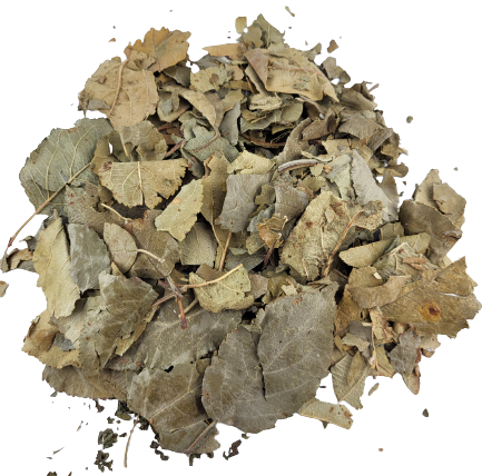 Apfelblätter getrocknet