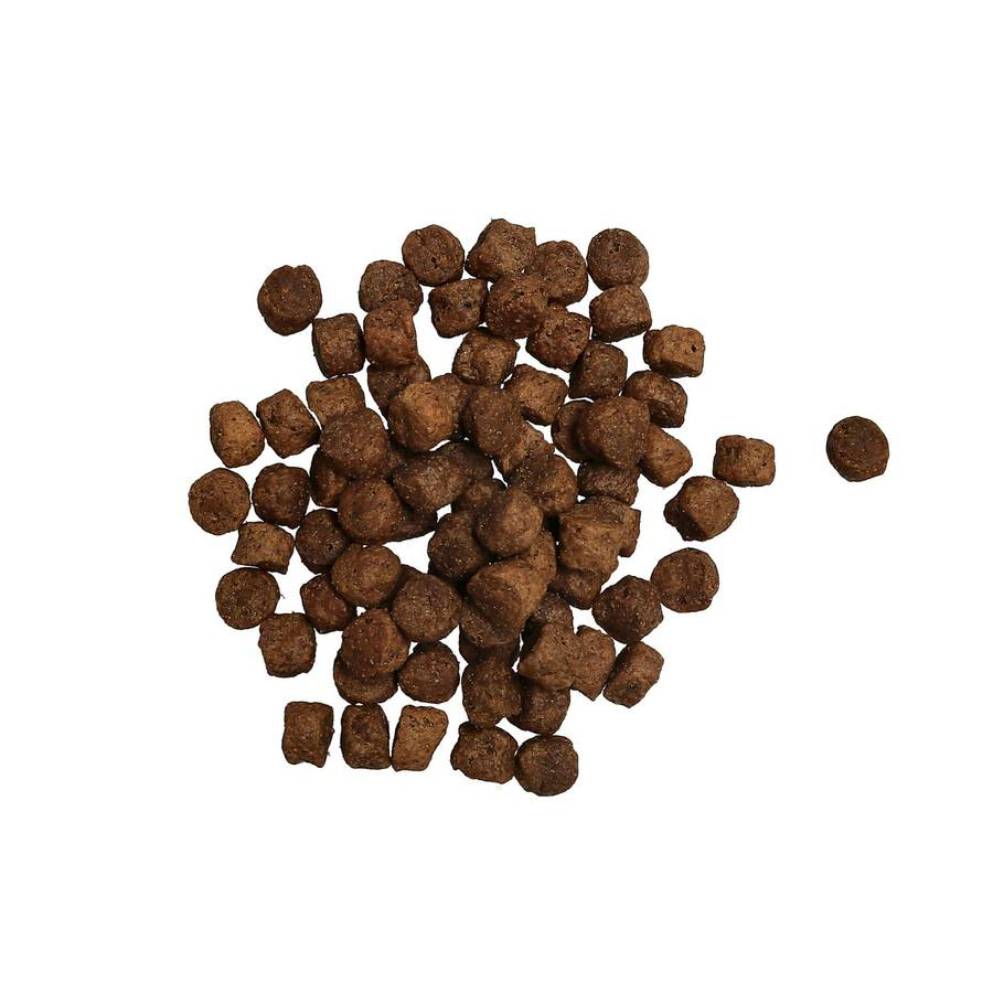 Harmony by Dogman Puppy Sensitive